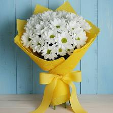 Букет цветов из:  Хризантемы в Гремячее