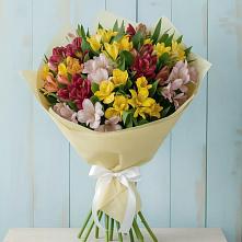 Букет цветов из:  Альстромерии в Гремячее